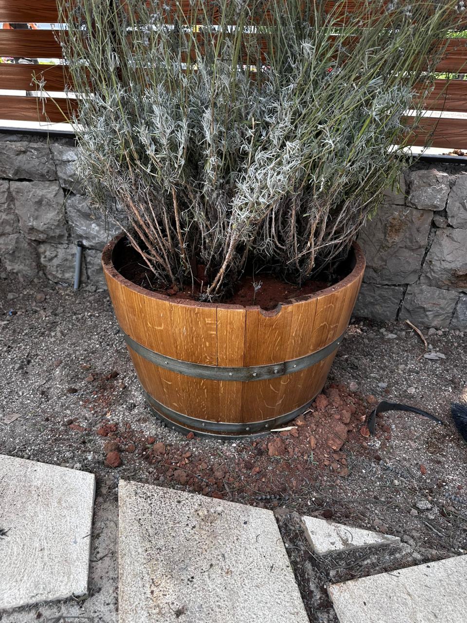 Planters